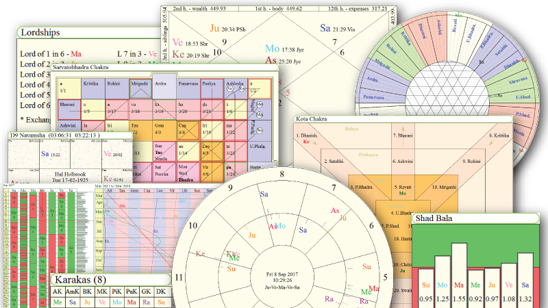 Jyotish Vedic Astrology Chart