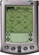 Pl_palm